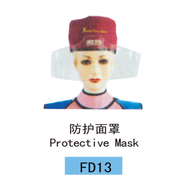 Protective Mask FD13